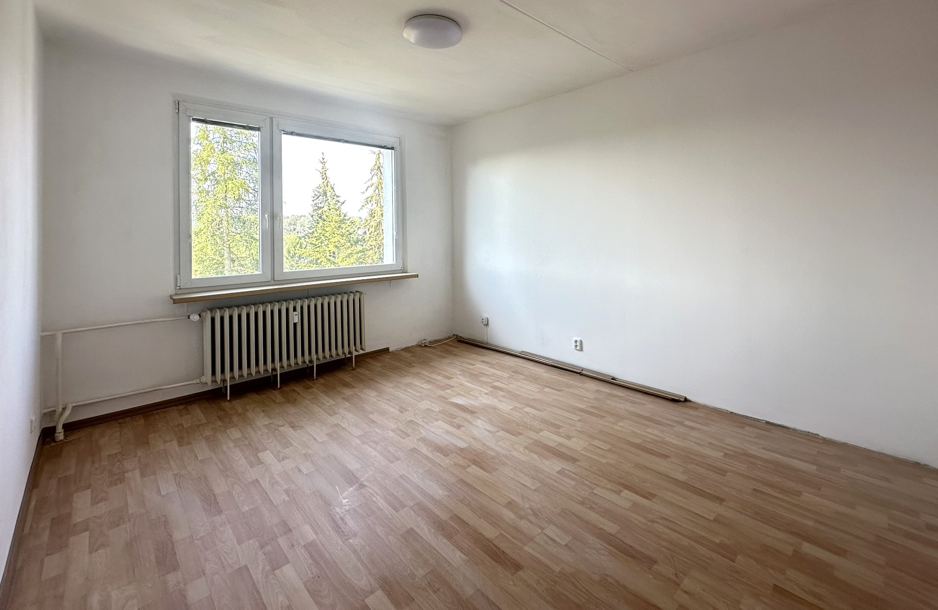 Fotografie