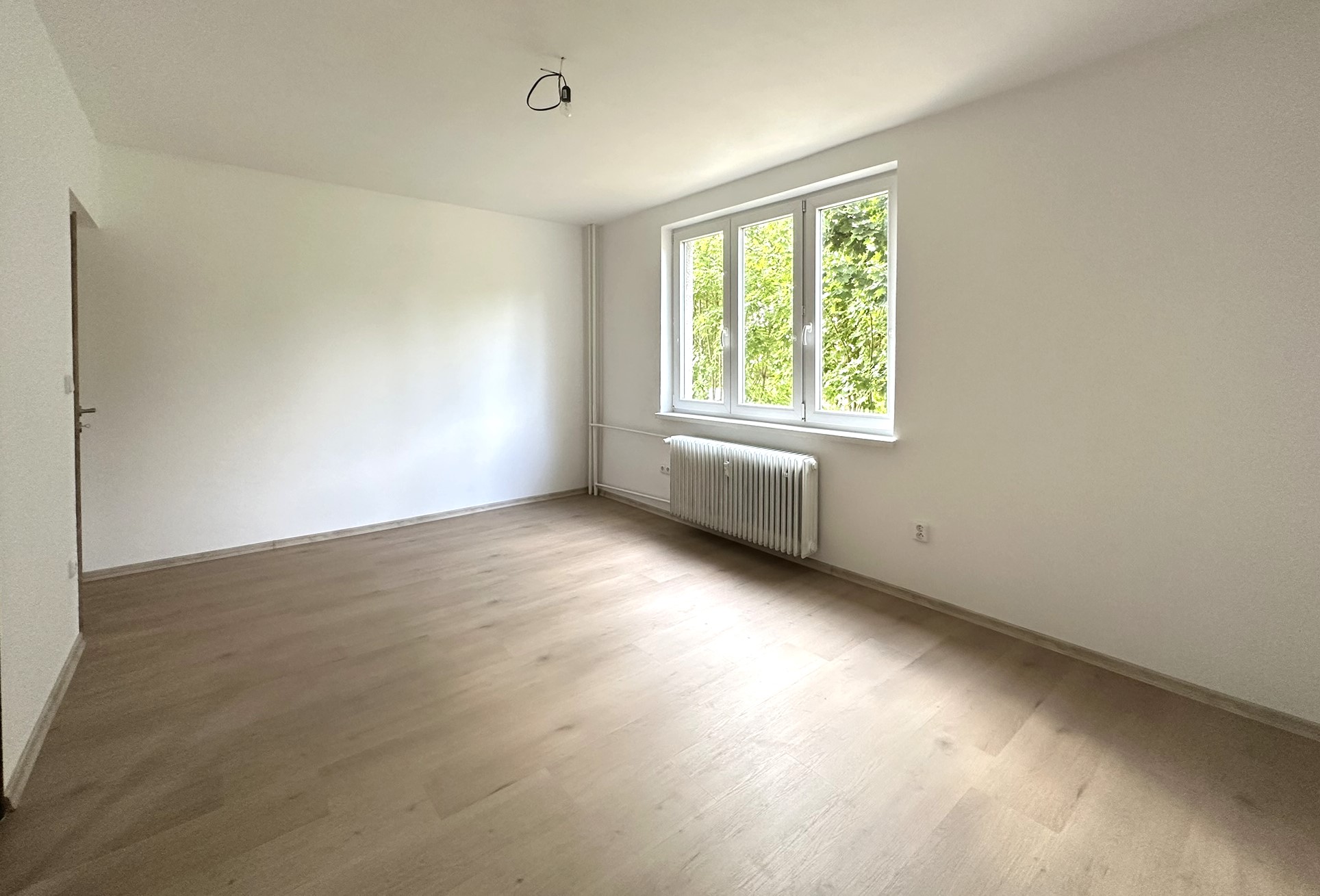Fotografie